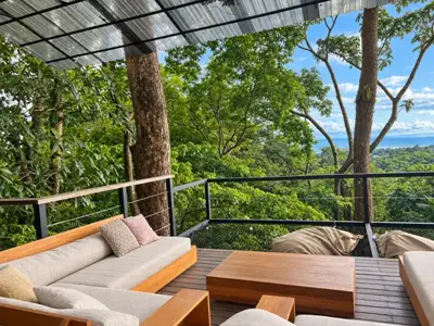 Pool & gardens — Deck
