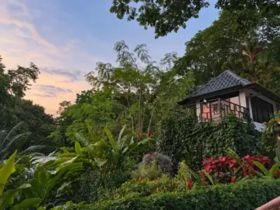 Pool & gardens — Deck