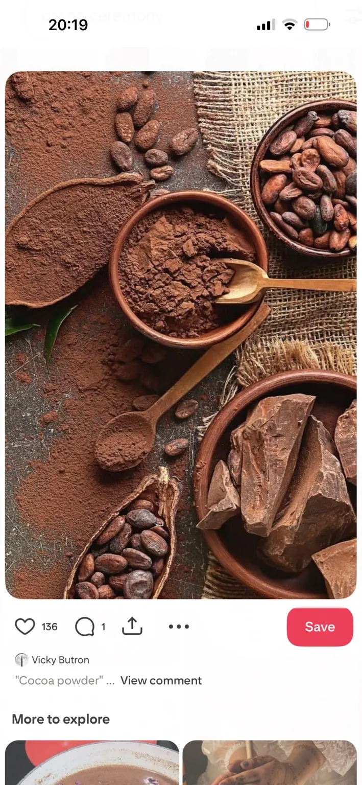 Cacao beans, cacao powder and chocolate arranged in bowls