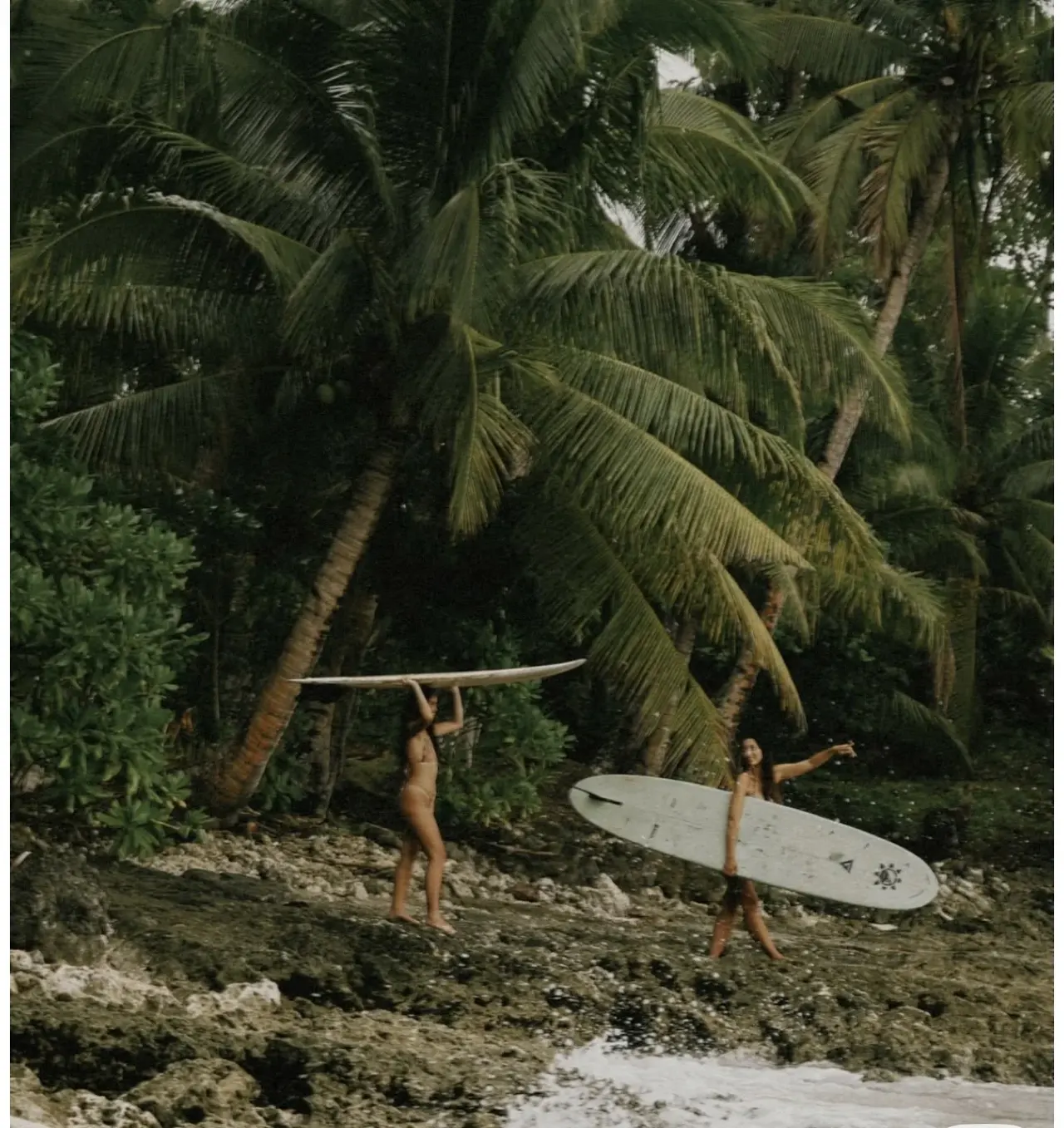 A surfer walking beneath tropical palms with a board