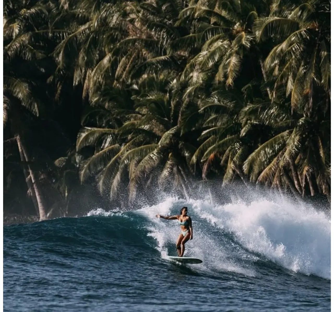 A surfer riding a clean tropical wave